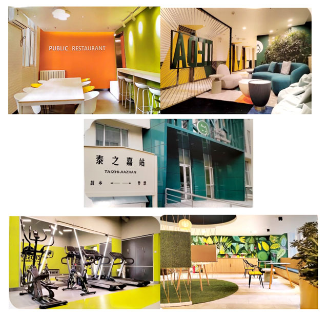 1735463658760602.jpg zp3.jpg